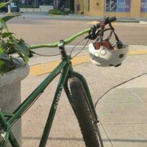 2015 Surly Krampus Green