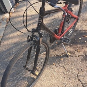 2010 Giant Cypress DX (Black) Red