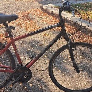 2010 Giant Cypress DX (Black) Red