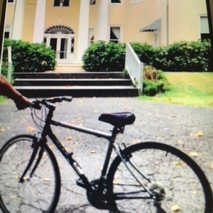 Giant Silver or Gray