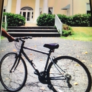 Giant Silver or Gray