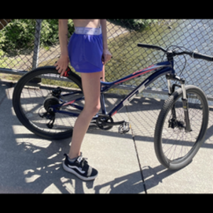 2020 GT Bicycles Blue and Pink