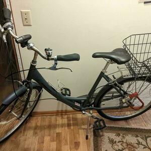 2016 Breezer Uptown EX LS Silver, gray or bare metal