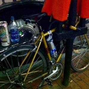 2008 Salsa Casseroll Yellow or Gold