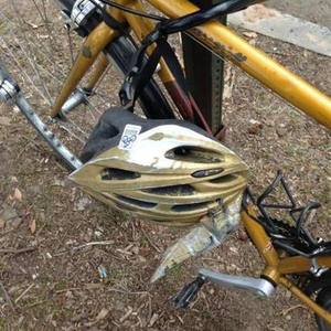 2008 Salsa Casseroll Yellow or Gold