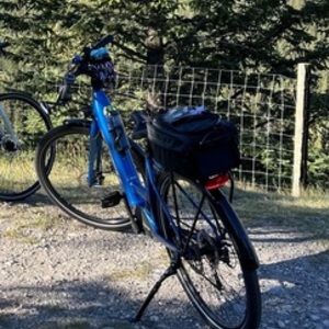 2021 Trek Verve Lowstep 3+ Electric Blue