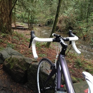 2015 Cannondale Synapse Purple