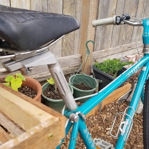Schwinn Mirada Blue