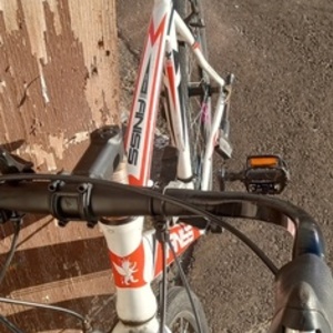 Other Rx 5.0 White and Red