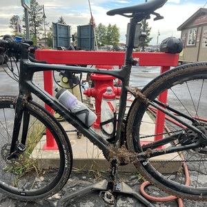 2021 Giant Revolt Green and Black