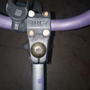 2021 Verde VERDE CADET Silver, gray or bare metal and Purple