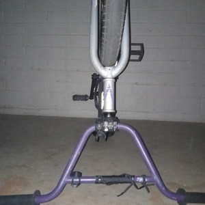 2021 Verde VERDE CADET Silver, gray or bare metal and Purple