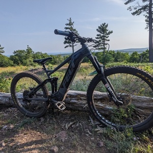 2020 Felt Redemption E 30 Silver, gray or bare metal and Black