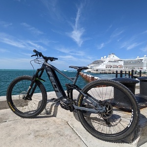 2020 Felt Redemption E 30 Silver, gray or bare metal and Black