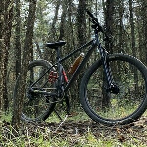 2020 Giant Talon 1 Silver, gray or bare metal