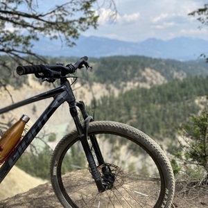 2020 Giant Talon 1 Silver, gray or bare metal