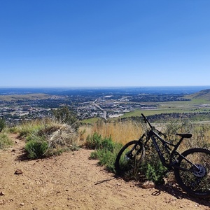 2021 Specialized Stumpjumper Comp Silver, gray or bare metal