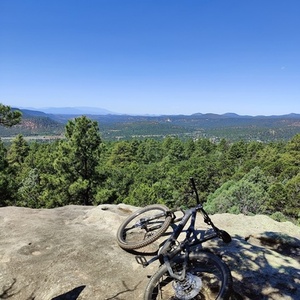 2021 Specialized Stumpjumper Comp Silver, gray or bare metal