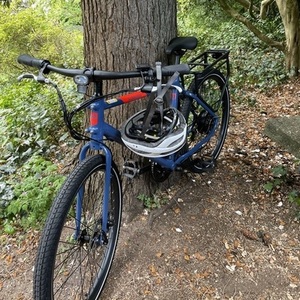 2021 Rad Power Bikes Rad Mission cargo bike (rear storage) Blue