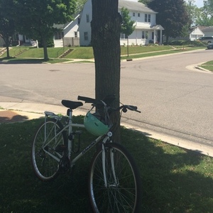 Raleigh Dash Plus White, Purple, and Green