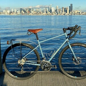 2018 Raleigh Webster Blue