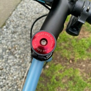 2018 Raleigh Webster Blue