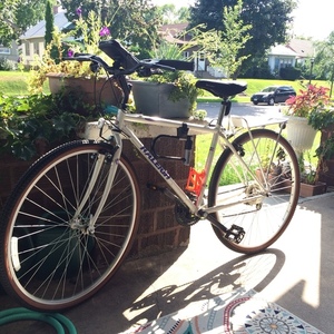 Raleigh Dash Plus White, Purple, and Green