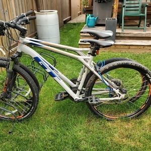 2020 GT Bicycles GXT Silver, gray or bare metal