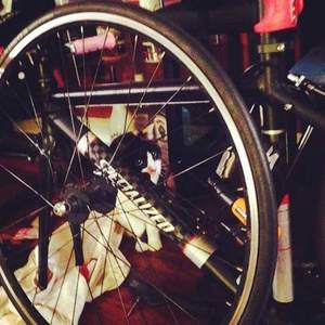 2011 Specialized Langster Black