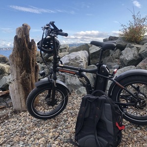 2023 Rad Power Bikes Radmini Black and Orange