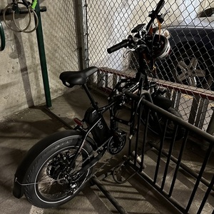 2023 Rad Power Bikes Radmini Black and Orange