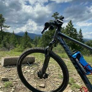 2020 Giant Talon 1 Silver, gray or bare metal