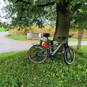 2022 Cube Stereo Hybrid 120 TM 750 29 Flashgrey... Green and Silver, gray or bare metal