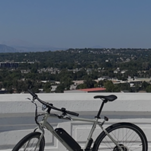 2021 Rad Power Bikes Electric hybrid Green and Silver, gray or bare metal