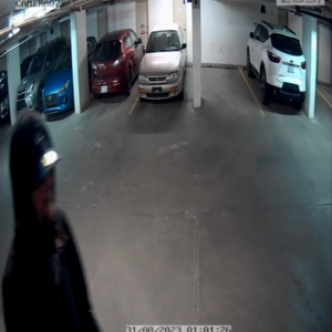 2020 Giant Talon 1 Silver, gray or bare metal