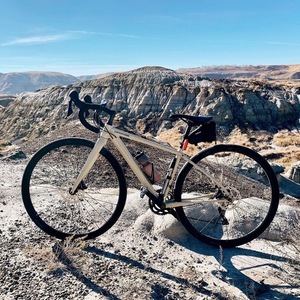 2020 Cannondale Topstone 105 Brown