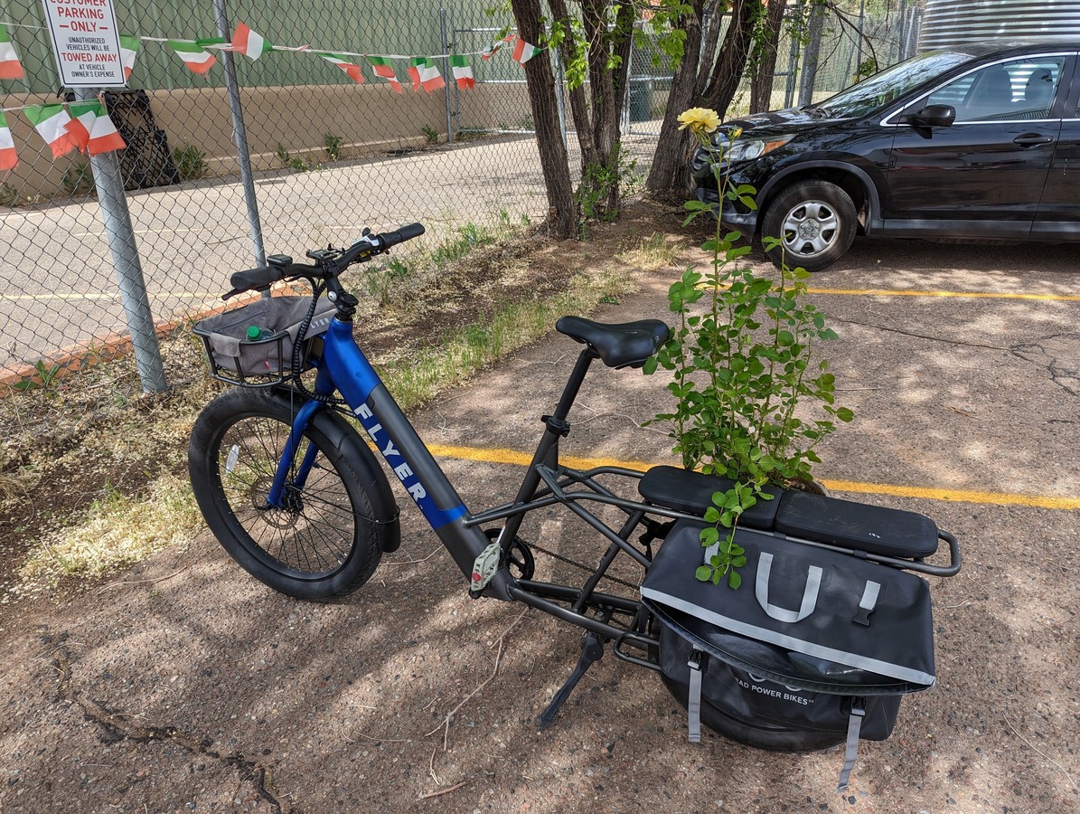 2021 Radio Flyer L885 cargo bike (rear storage)