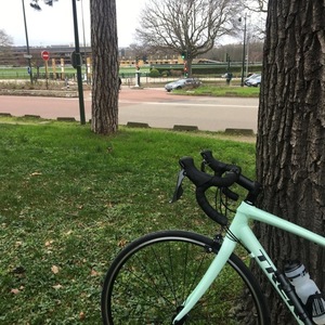 2018 Trek Domane AL 2 Teal