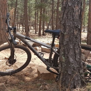 Trek Silver, gray or bare metal