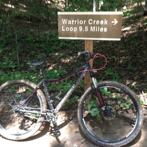 2011 Misfit Cycles Dissent Black