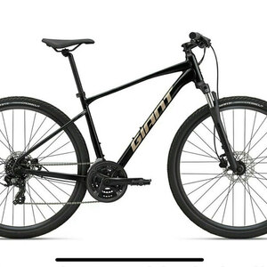 2022 Giant Roam 4 Black
