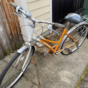 Shimano GIANT Orange