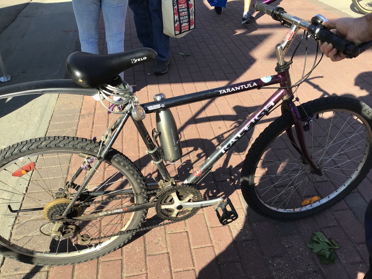 Tarantula Bike Raleigh Tarantula