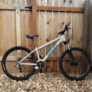 2010 Giant STP 0 Silver, gray or bare metal