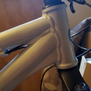 2010 Giant STP 0 Silver, gray or bare metal