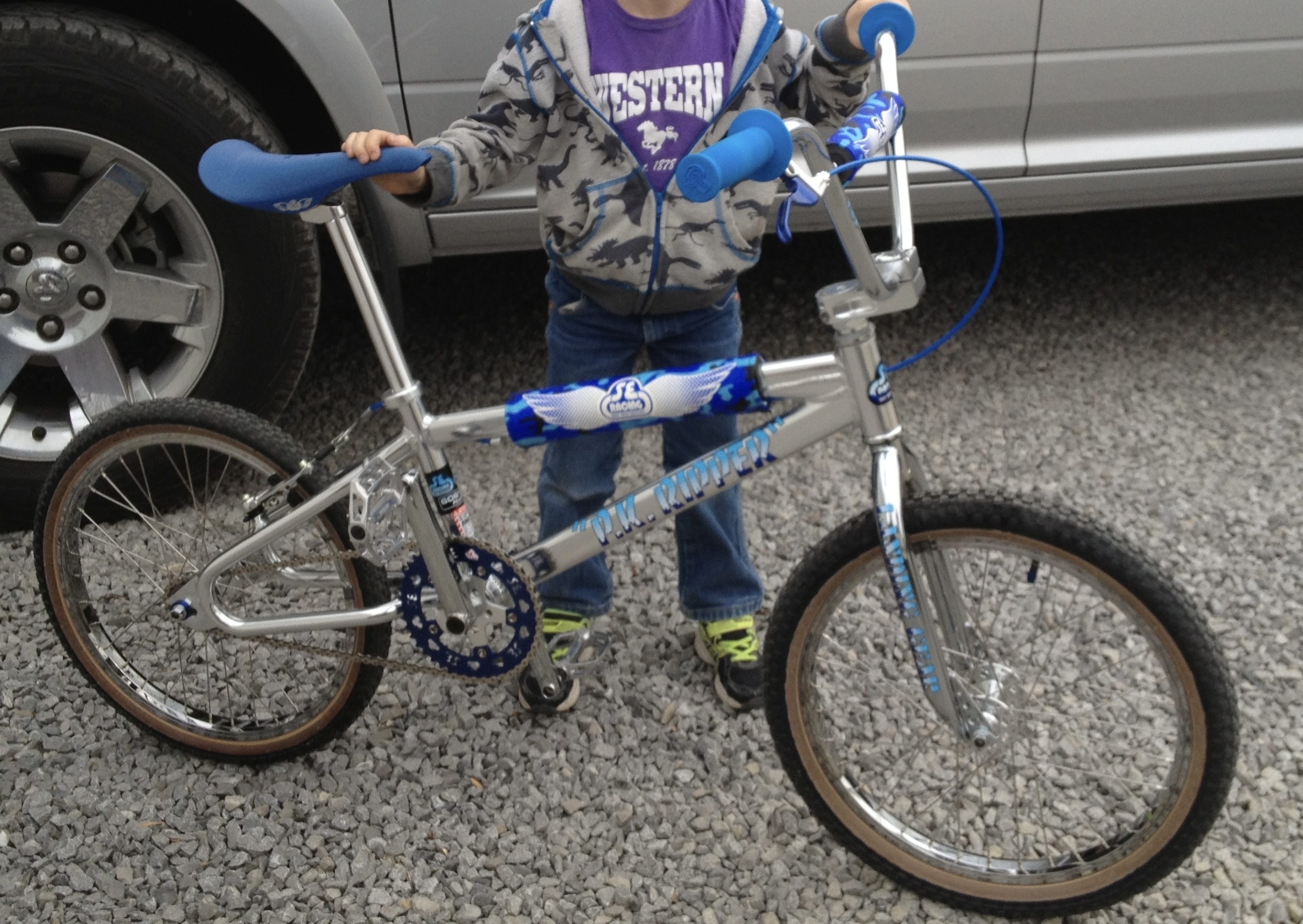 Stolen 2015 SE Bikes PK Ripper 20