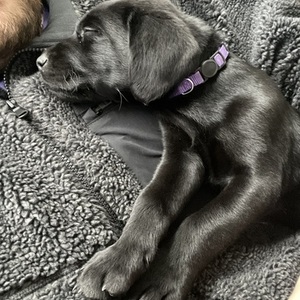 2022 Trek Checkpoint Silver, gray or bare metal