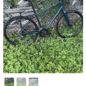 2018 Giant 90010725 Alight 2 DD Disc M Deep Lake Blue and Green