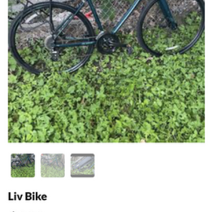 2018 Giant 90010725 Alight 2 DD Disc M Deep Lake Blue and Green