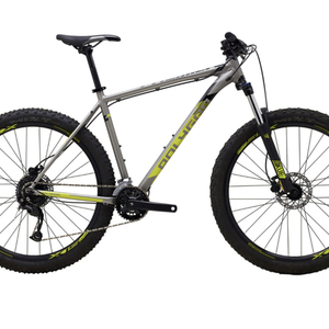 2021 Polygon Premier 5 Silver, gray or bare metal and Green